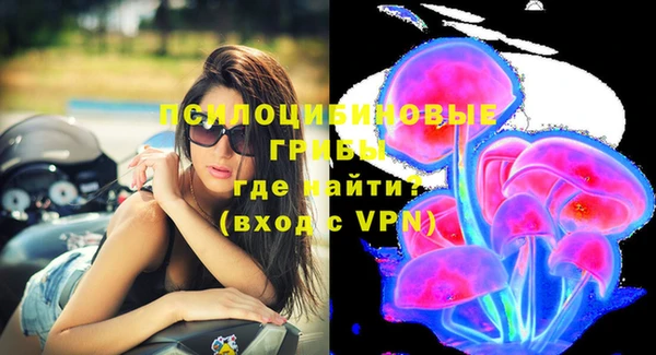 твердый Белокуриха
